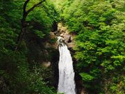 ナカさんの秋保大滝の投稿写真1