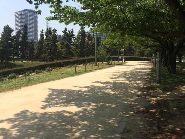 この時期の日陰ポイント!_草加松原遊歩道