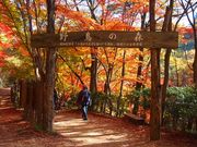 aguさんの神戸市立森林植物園の投稿写真3