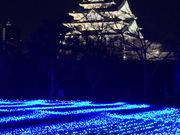 ゆっかりぃさんの大阪城天守閣の投稿写真1