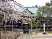かおりさんの東漸寺の投稿写真1