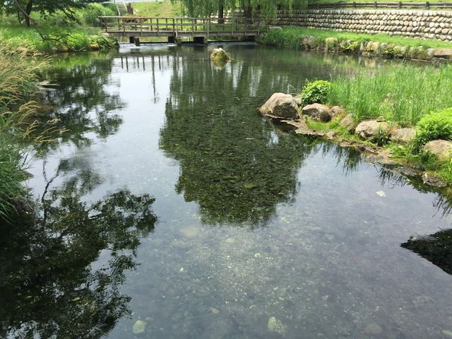 安曇野わさび田湧水群