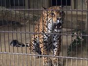 ルミさんの東山植物園の投稿写真1