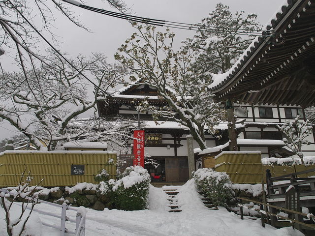 極楽寺_極楽寺