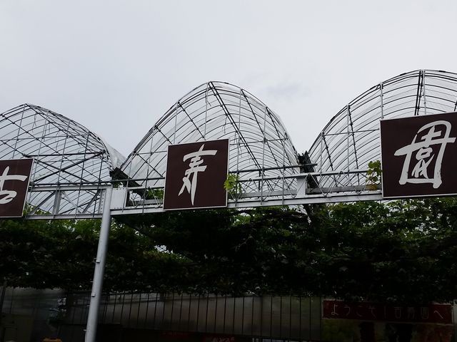 外観。駐車場は広いです。_お食事とぶどう狩り 古寿園(コジュエン)