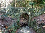 kingtutさんの大麻比古神社の投稿写真5