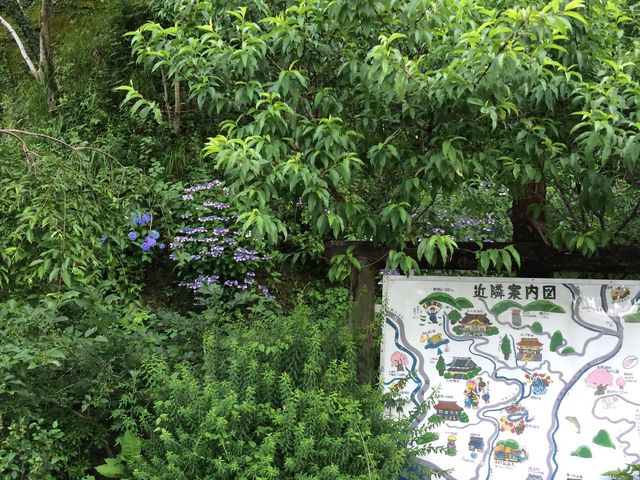 お店周辺_ドライブイン引地橋
