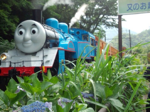 かっこ良くってかわいいトーマス。子どもたちに大人気!_川根温泉ふれあいの泉