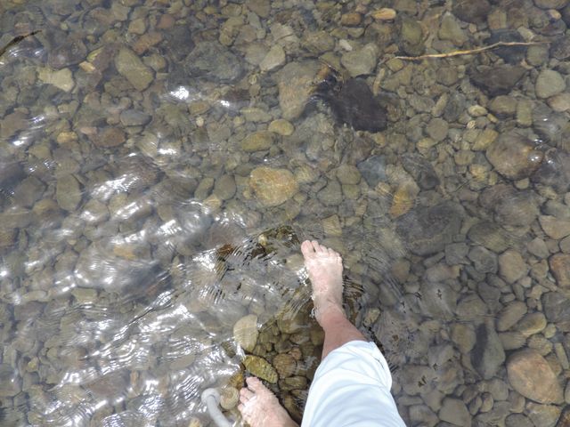 湧水が冷たい川_四万十川観光開発 遊覧船