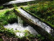 SICILYさんの大滝神社の投稿写真1