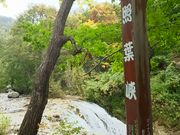 ゆみぶさんの照葉峡の投稿写真1
