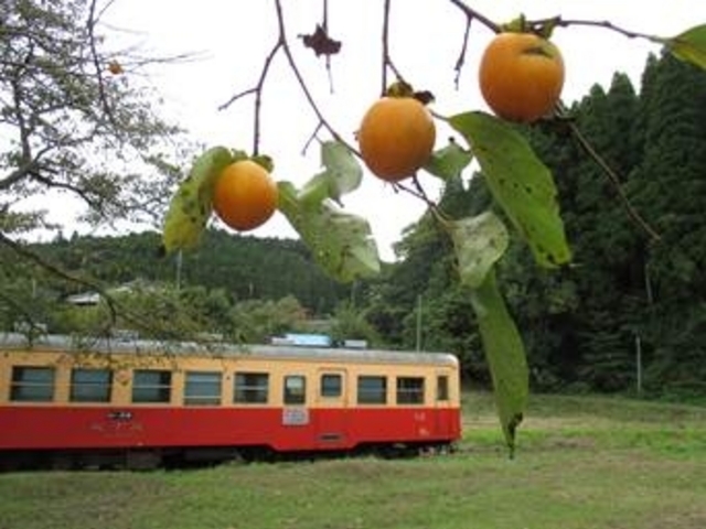 月崎駅周辺です。柿とのコラボです。_小湊鐵道