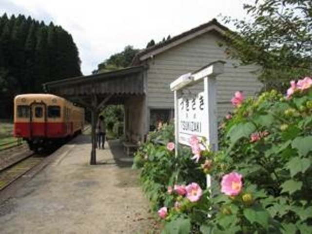 月崎駅です。花がきれいに咲いていました。_小湊鐵道