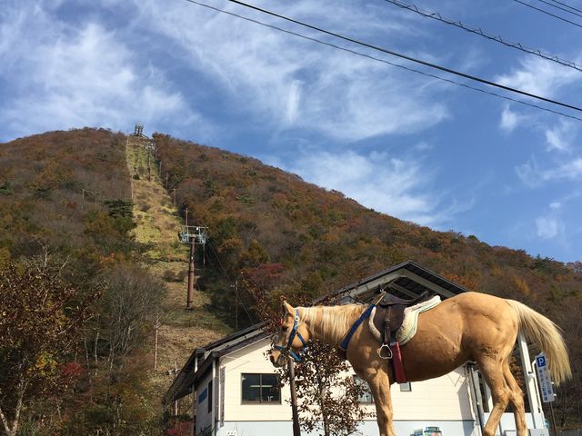 榛名富士_榛名山(榛名富士)