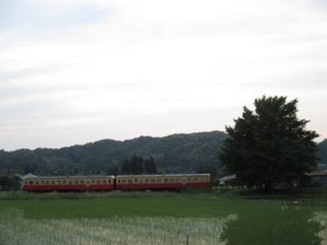 上総久保駅です。田んぼと大きな銀杏が素敵です。_小湊鐵道