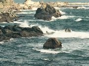 臨海急行さんの太海海岸の投稿写真1