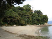 いわぴいさんの元宇品公園の投稿写真5