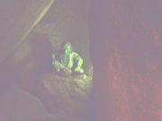 きんぎょさんの鬼岩公園の投稿写真1