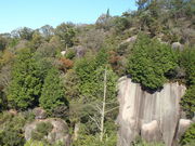 きんぎょさんの鬼岩公園の投稿写真3