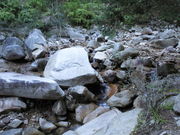 いわぴいさんの南原峡の投稿写真5