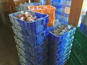 なべ太郎さんの道の駅 加子母の投稿写真2