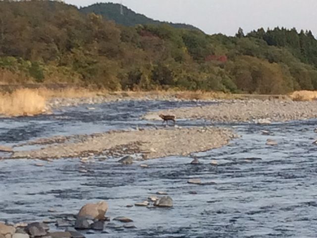 日光だいや川公園