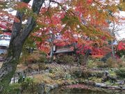 シトラさんのハワイ王国公使別邸の投稿写真1