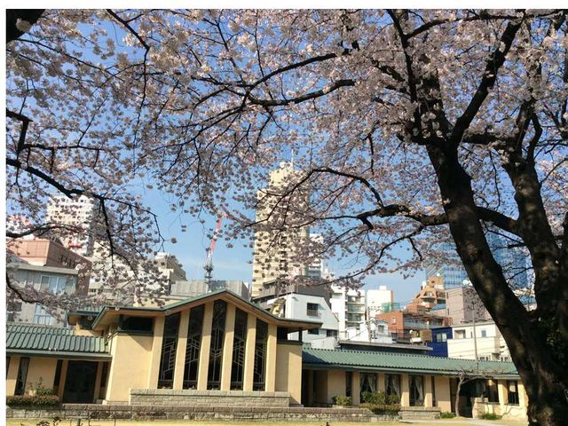 住宅地の中に、ハリーポッターの世界みたいな学園!_自由学園明日館