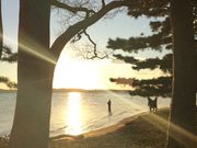 ゆうさんの涸沼の投稿写真1