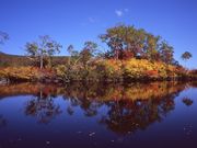 まっちゃんさんの大雪高原温泉の投稿写真1