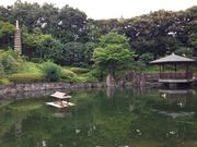 どんしゃんさんの目白庭園の投稿写真1