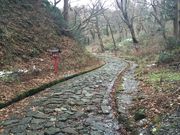 さっけーさんの石畳の参道の投稿写真1