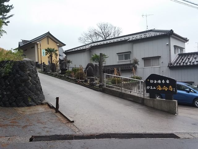 海向寺