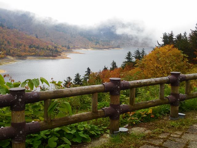 有峰湖_有峰森林文化村
