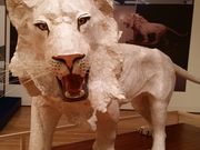 みっきぃさんの高知県立美術館の投稿写真1