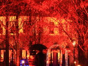 iatmasaさんのタオル美術館の投稿写真1