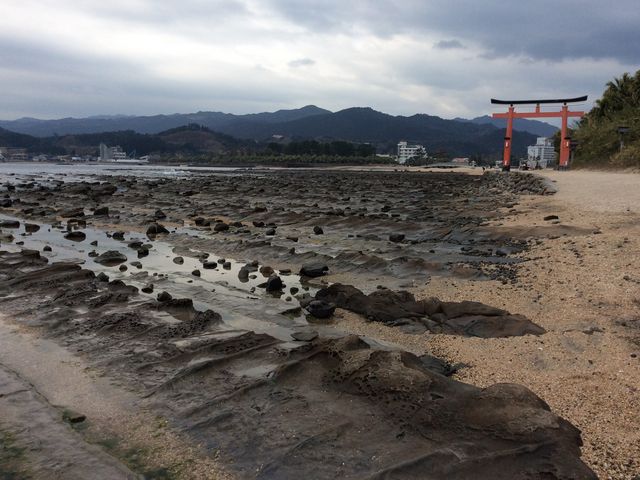 周辺景色_青島神社