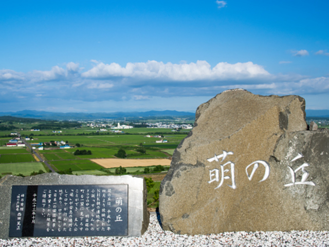 萌の丘_萌の丘