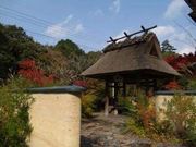 glyさんのすみや亀峰菴の投稿写真1