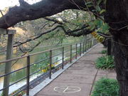 kyアガタさんの外濠公園の投稿写真1