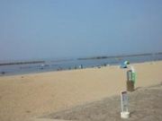 たーくんさんのときめきビーチ【淡輪海水浴場】の投稿写真3