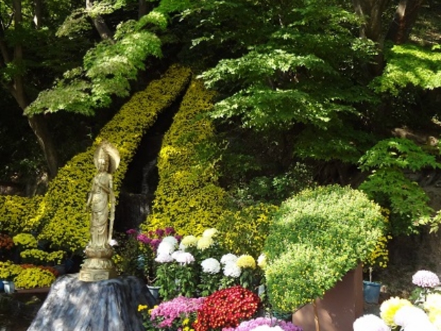 場内の滝_二本松の菊人形