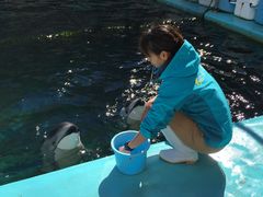 伊豆・三津シーパラダイスの写真1