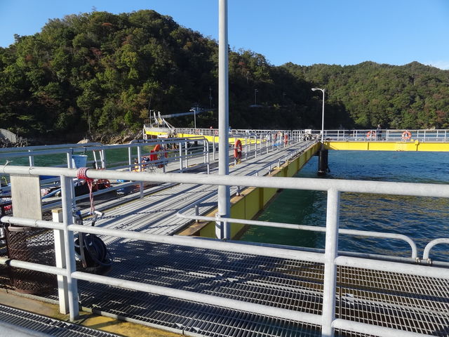 やんまあさんの宮津市海洋つり場の投稿写真1