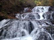 イワダイさんの魚止めの滝の投稿写真1