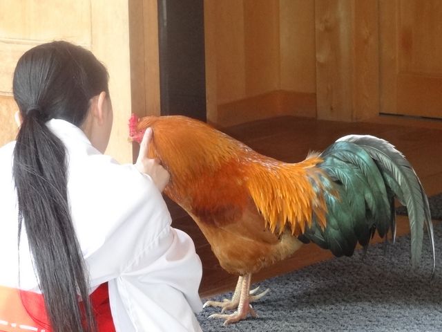 神様の御使い_穂高神社