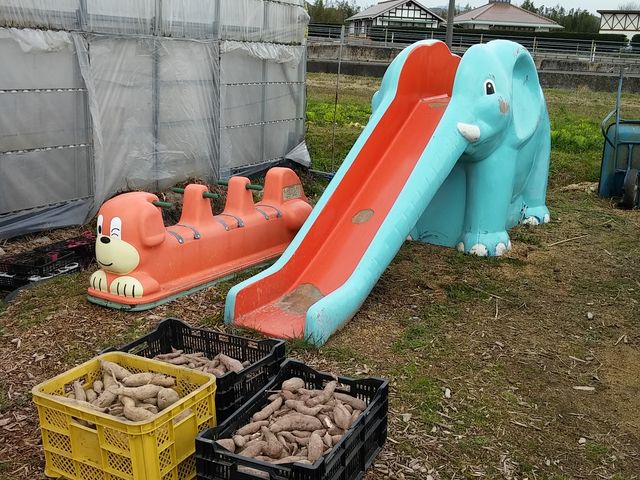 子供は食べたら遊具_ことり農園