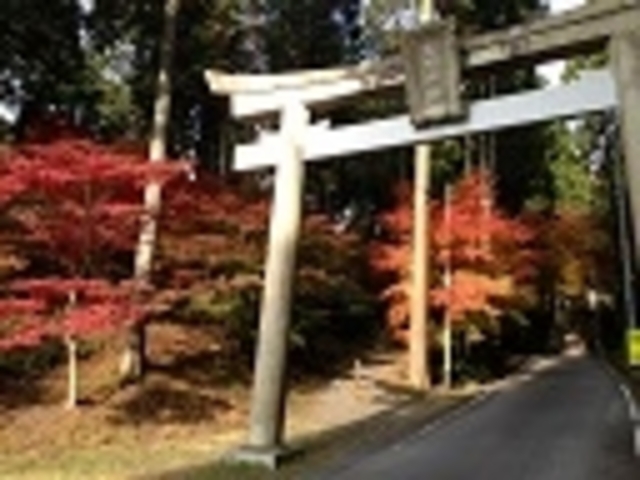 駐車場から一番近い鳥居_猿丸神社