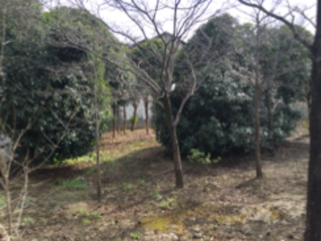 だいさんの三鷹市農業公園の投稿写真1