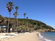 梅ちゃんさんののこのしまキャンプ村の投稿写真1